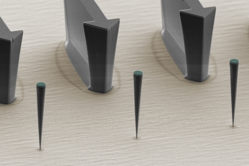 Julien Claudon - trumpet Julien Claudon - trumpet